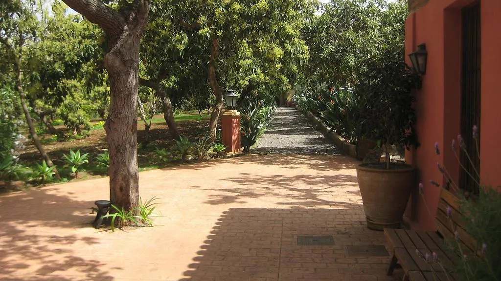 Nice House In Large Avocado Garden, Tenerife North Hostal Tacoronte