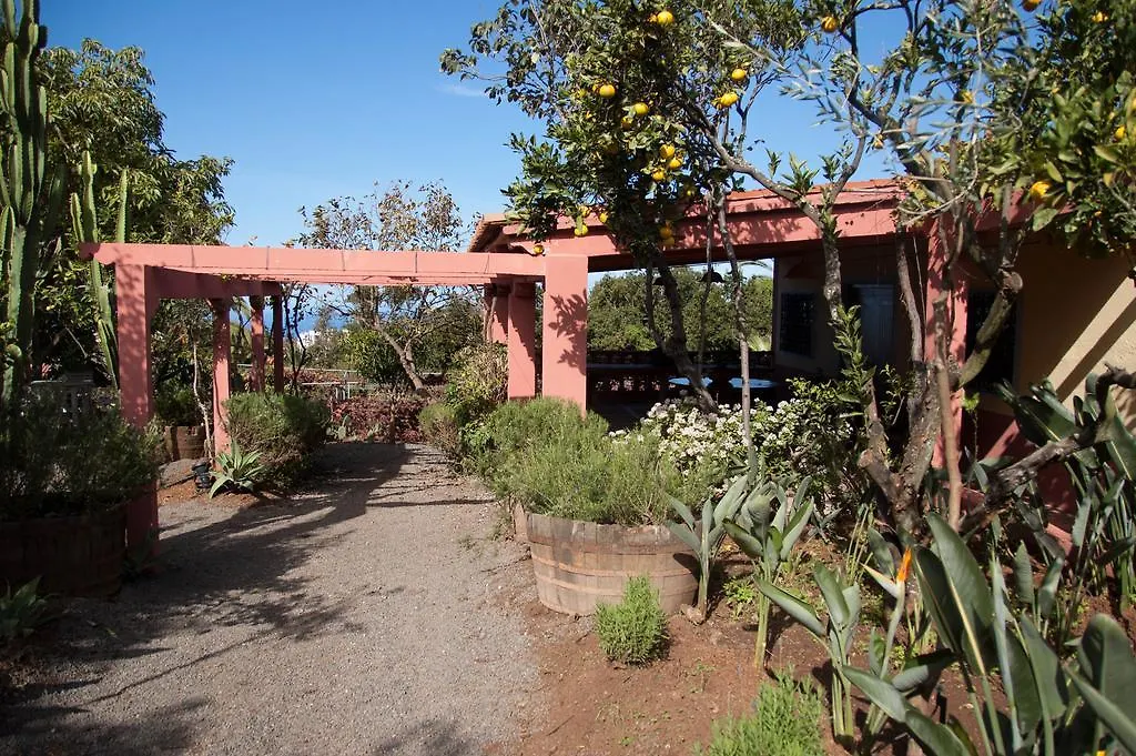 Nice House In Large Avocado Garden, Tenerife North Guest House Tacoronte