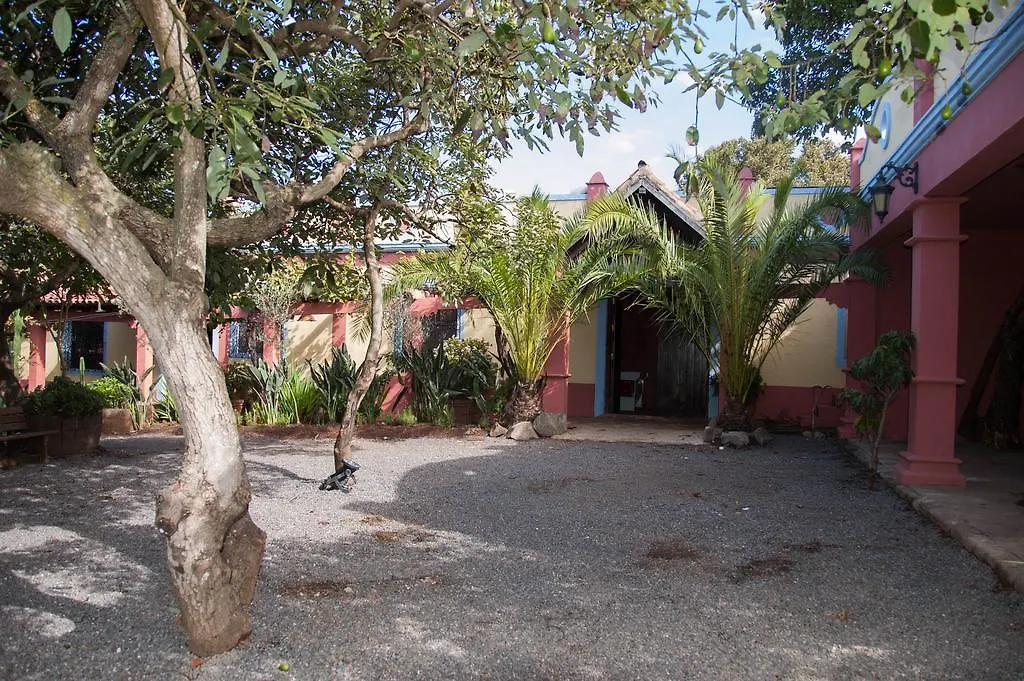 Nice House In Large Avocado Garden, Tenerife North Guest House Tacoronte Country house