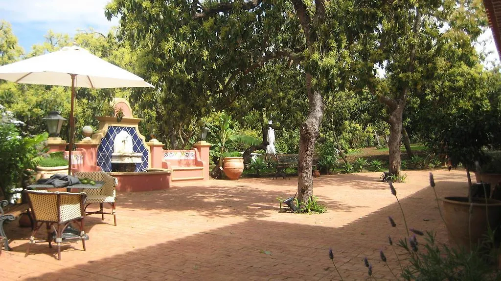 Country house Nice House In Large Avocado Garden, Tenerife North Guest House Tacoronte