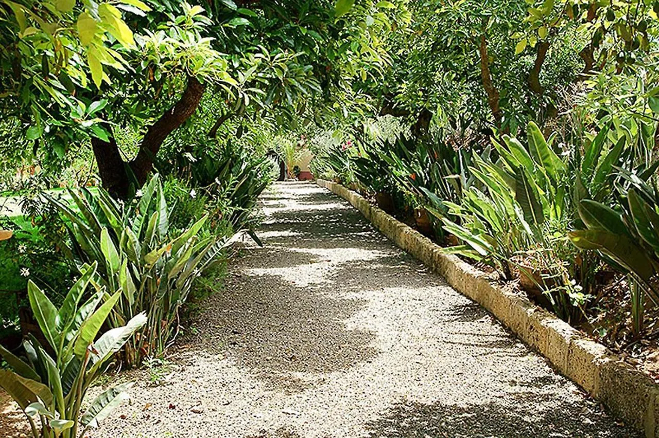 Nice House In Large Avocado Garden, Tenerife North Guest House Tacoronte Country house